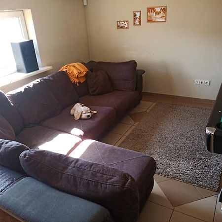 Vilnius Cat Friendly Daire Dış mekan fotoğraf